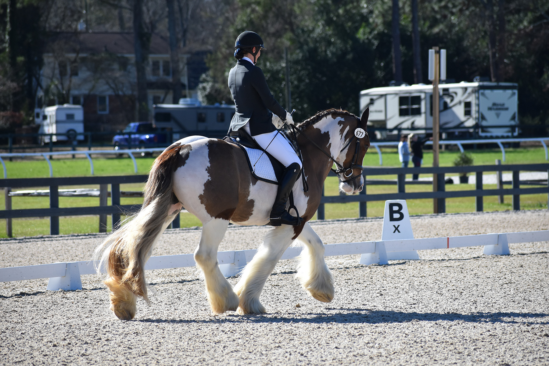 eventing horses for sale aiken